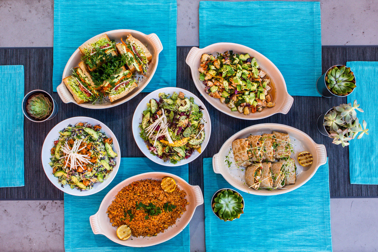 Birds eye view of six Cafe Vida dishes, including three salads, a quesadilla wrap, a burger, and a warm grain bowl. Dishes are all in white dishes against blue placemats, surrounded by four small succulents